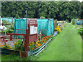 NS3421 : Allotments at Craigie Park by Thomas Nugent