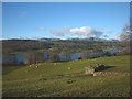 SD3695 : Ruined barn above Esthwaite Water by Karl and Ali