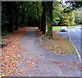 SS9695 : Tree-lined pavement, Pentwyn Road, Ton Pentre by Jaggery