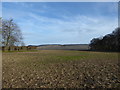 SU2984 : Arable in winter, Lambourn Downs by Vieve Forward