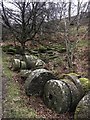 SK2479 : Abandoned millstones in Bolehill Quarry by Graham Hogg