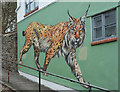 ST5873 : Lynx on Spring Hill, Bristol by Derek Harper