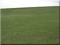  : Pasture on Sheeppath Hill by M J Richardson