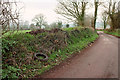 SX9075 : Tyred hedgebank, Humber by Derek Harper