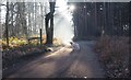 TL9293 : Signpost and guide dog for public footpath by David Pashley