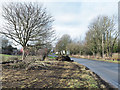 NZ3440 : Damaged grass verge of Chare Lane by Trevor Littlewood