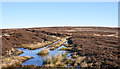 NY9344 : Frozen pool at meeting of bridleway and hill road by Trevor Littlewood