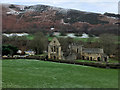 SJ2044 : Valle Crucis Abbey (Abaty Glyn Egwestl) by David Dixon