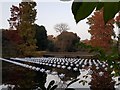 TQ1876 : View of Aether & Hemera's 'Voyage' - a flotilla installation at the Royal Botanic Gardens, Kew by J W