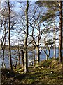 NZ0152 : Wooded shore of the Derwent Reservoir by Oliver Dixon