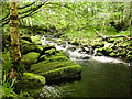 NZ8202 : West Beck, Beck Hole by Scott Robinson