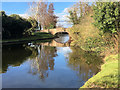 SJ9317 : Staffordshire and Worcestershire Canal, Acton Moat Bridge by David Dixon