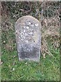 ST0012 : Old Milestone by the former B3391, Halberton by T Jenkinson