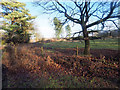 TL8294 : Breckland Kennels sign by David Pashley