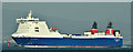 J3778 : "Stena Forecaster", Belfast Lough (February 2019) by Albert Bridge