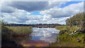 SZ0384 : West side of Little Sea, Studland Heath, Dorset by Phil Champion