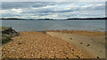 SZ0286 : Shingle beach at Jerry's Point, Poole Harbour by Phil Champion