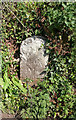 SX8988 : Old Milestone in parish of Ide, North of Marshall Farm by Alan Rosevear