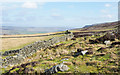 SD9997 : Moorland slope on south side of Swaledale by Trevor Littlewood