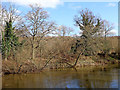 SO7483 : Across the River Severn near Alveley in Shropshire by Roger  D Kidd