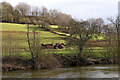 SO7583 : Pasture and woodland east of Highley in Shropshire by Roger  D Kidd