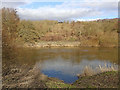 SO7583 : River Severn north-east of Highley in Shropshire by Roger  D Kidd