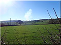  : Farm land, between St Asaph and Betws yn Rhos by Eirian Evans