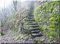 SE0825 : Steps on Halifax FP733 in Snake Hill Wood by Humphrey Bolton