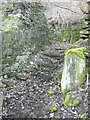 SE0825 : Steps at the foot of Snake Hill Footpath 2, Halifax by Humphrey Bolton