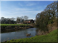 SJ7567 : River Dane near Glebe Farm by Stephen Craven