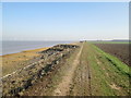 TA0924 : Walking  the  Humber  Flood  Bank by Martin Dawes