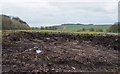 SK1665 : Hideously churned mud along route of public footpath by Trevor Littlewood