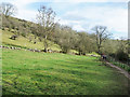 SK2066 : Northern slope of Lathkill Dale by Trevor Littlewood