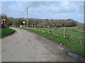 TQ4661 : Daffodils along Port Hill, near Pratts Bottom by Malc McDonald