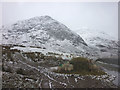 NY4506 : Hungry sheep in upper Kentmere by Karl and Ali