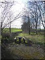 SJ5106 : Picnic table and old road at Cantlop Bridge by David Smith