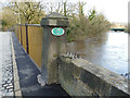 SE2336 : Newlay Bridge corner pier by Stephen Craven