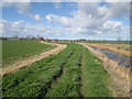 TA0955 : Footpath  on  top  of  flood  bank  Foston  Beck by Martin Dawes