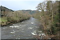 SH7955 : Afon Conwy in flood by Richard Hoare