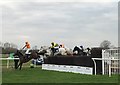 TL2072 : A flying jockey at Huntingdon Racecourse by Richard Humphrey