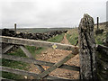 SK0289 : Bridleway Gate by Stephen Burton