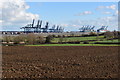 TM2335 : View from Oldhall Hill, Shotley by Simon Mortimer