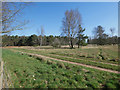 TL8297 : View across rough grassland in STANTA by David Pashley