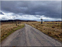  : The road to Golspie by John Lucas