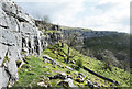 SD8964 : Upper rock band of Malham Cove by Trevor Littlewood