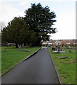 ST2896 : Evergreen trees in Holy Trinity churchyard, Cwmbran by Jaggery