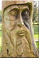 TL8294 : The Green Man - Lynford Arboretum by Stephen McKay