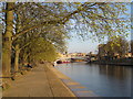 SE5952 : On the bank of the Ouse, York by Malc McDonald