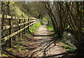 SY9582 : Path below Corfe Castle by Derek Harper