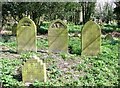 TG5210 : Three old gravestones in a row by Evelyn Simak